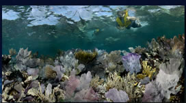 Grecian Rocks circa 2007 Key Largo.