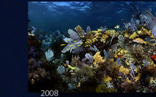 Click to zoom into Banana Reef, Key Largo FL